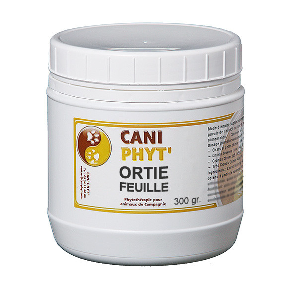 Ortie Chien Chat : phytotherapie pour animaux