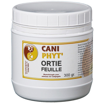 Ortie Chien Chat : phytotherapie pour animaux