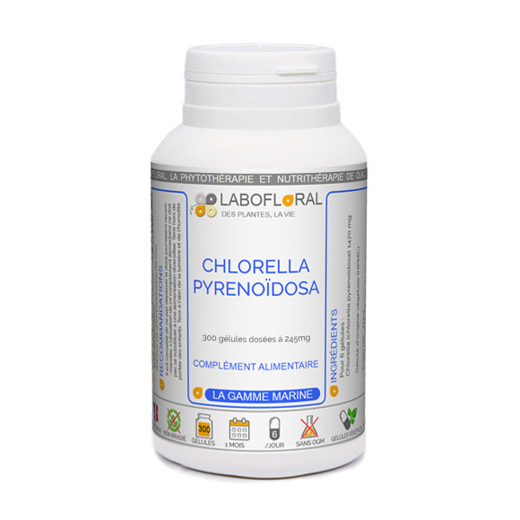 Chlorella Labofloral en gélule