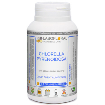 Chlorella Labofloral en gélule