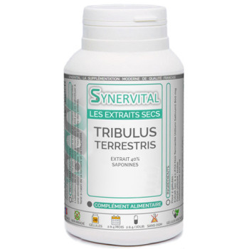 TRIBULUS en gélules pour le tonus.