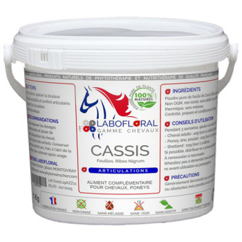 Cassis en poudre pour chevaux.