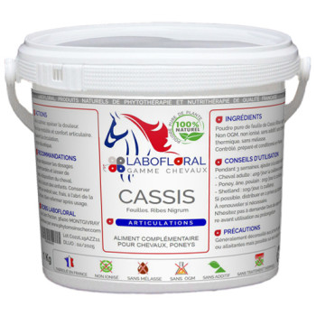 Cassis chevaux Labofloral