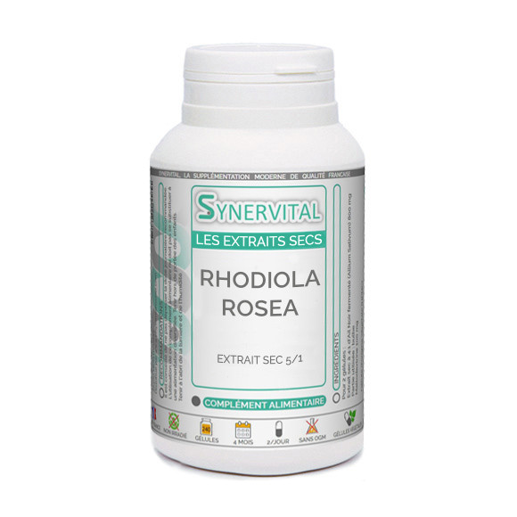 Rhodiola Rosea Synervital.