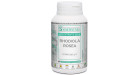 Rhodiola Rosea Synervital.