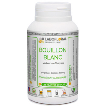 BOUILLON BLANC en gélules Labofloral