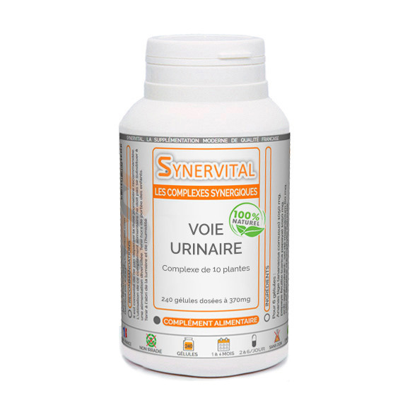 Voie Urinaire Synervital