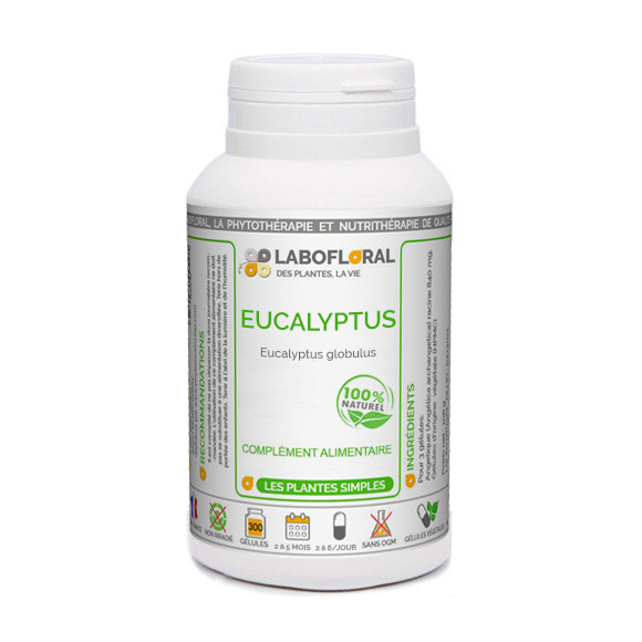 Eucalyptus Labofloral pour la santé respiratoire.