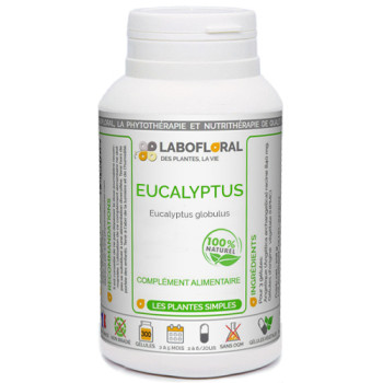 Eucalyptus Labofloral pour la santé respiratoire.