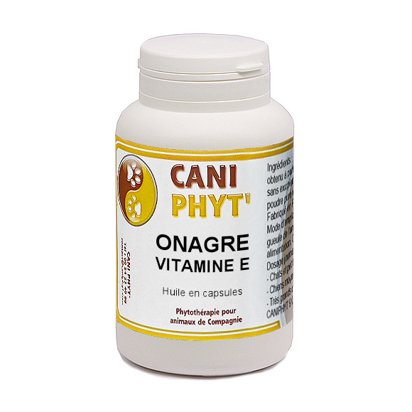 Onagre Vitamine E Chien Chat Caniphyt
