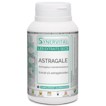 Astragale Synervital Immunité Anti age.