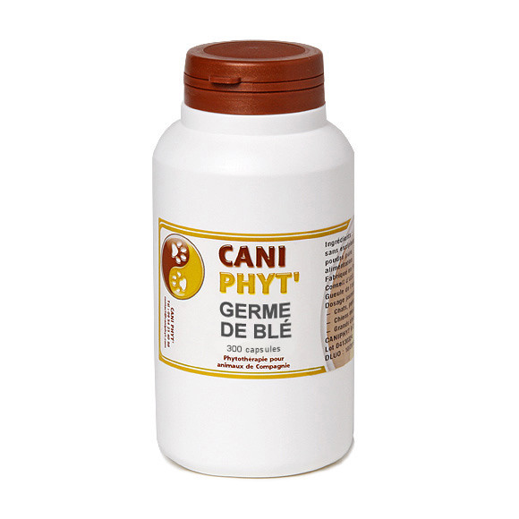 Germe de Blé Chien Chat Caniphyt