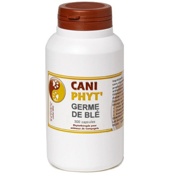 Germe de Blé Chien Chat Caniphyt