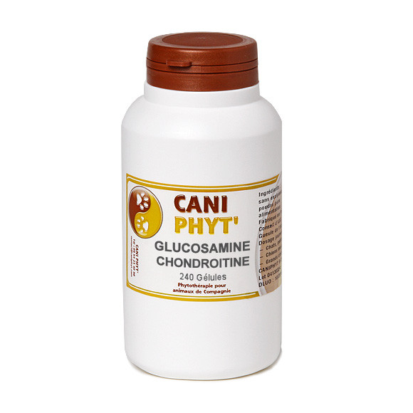 GLUCOSAMINE & CHONDROINTINE Chien Chat.