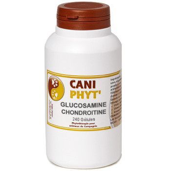 GLUCOSAMINE & CHONDROINTINE Chien Chat.