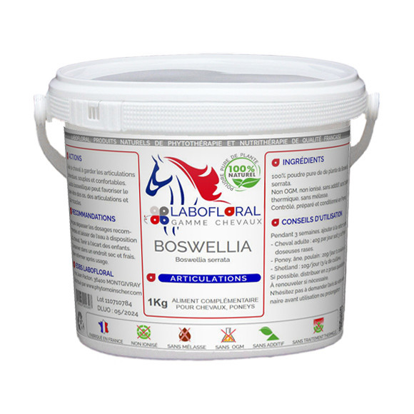 Boswellia en poudre pour chevaux.