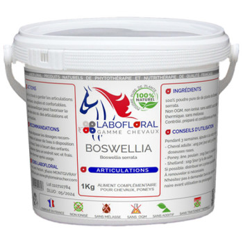 Boswellia en poudre pour chevaux.