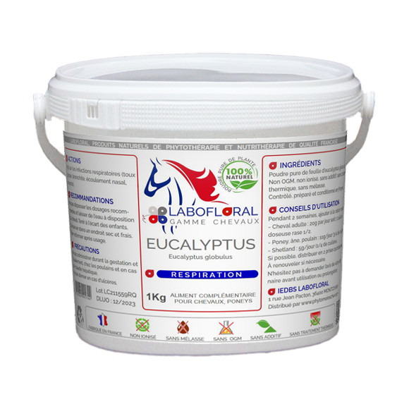 Eucalyptus en poudre pour chevaux