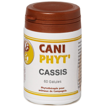 Cassis Chien Chat : phytotherapie pour animaux