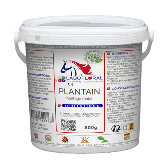 Plantain en poudre pour chevaux.