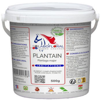 Plantain en poudre pour chevaux.