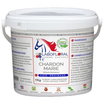 Chardon Marie en poudre pour chevaux.