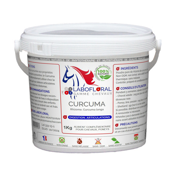 Curcuma en poudre pour chevaux