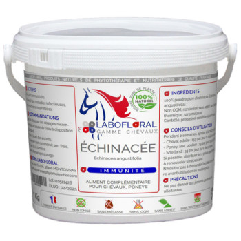 Echinacée en poudre pour chevaux