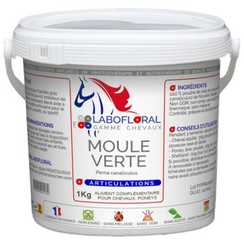 Moule Verte en poudre Labofloral Chevaux