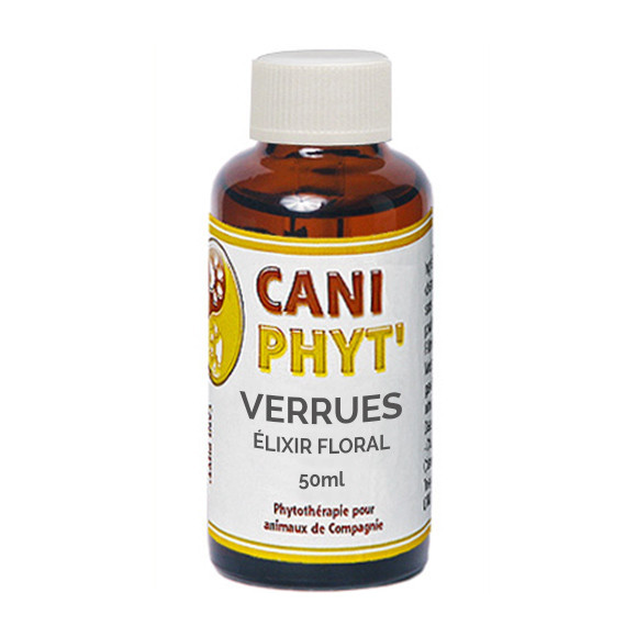 Complexe verrues et sarcoïdes cheval.