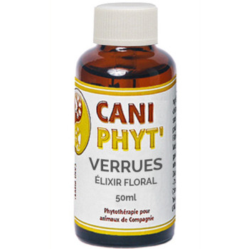 Complexe verrues et sarcoïdes cheval.