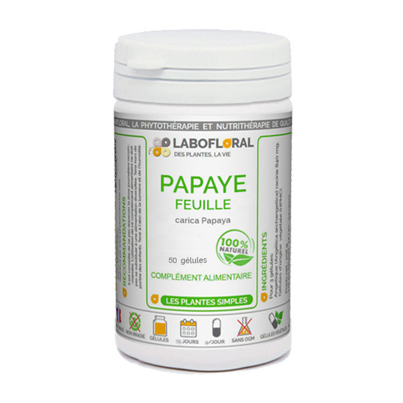 Papaye Feuille 50 gélules Labofloral