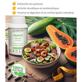 Papaye Feuille Bienfaits
