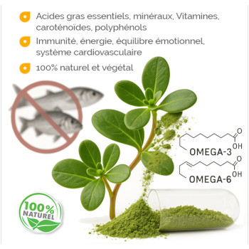 Pourpier Labofloral 50 gélules bienfaits