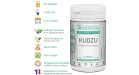 Kudzu extrait sec Synervital 60 gélules avantages