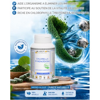 Chlorella bienfaits