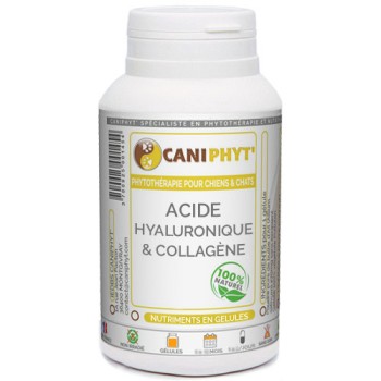 Acide Hyaluronique + Collagène  Caniphyt Chiens Chats