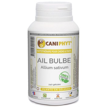 Ail bulbe - Caniphyt chiens et chats