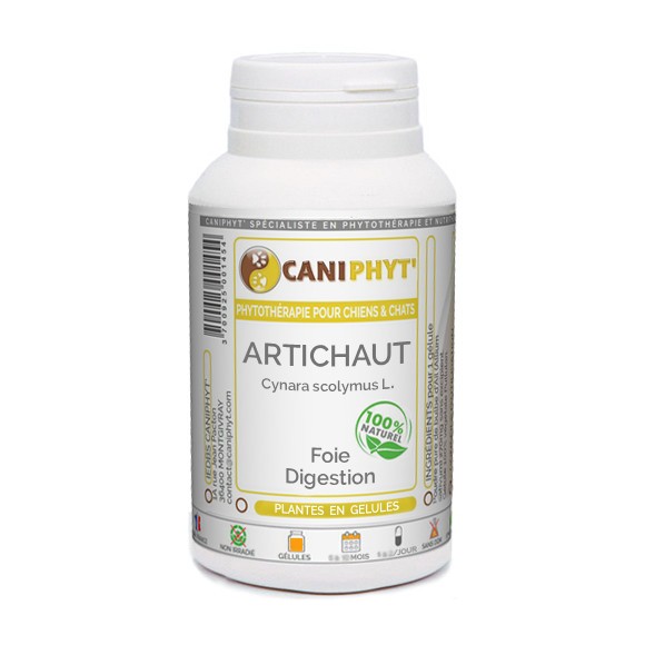 Artichaut Caniphyt Chiens Chats