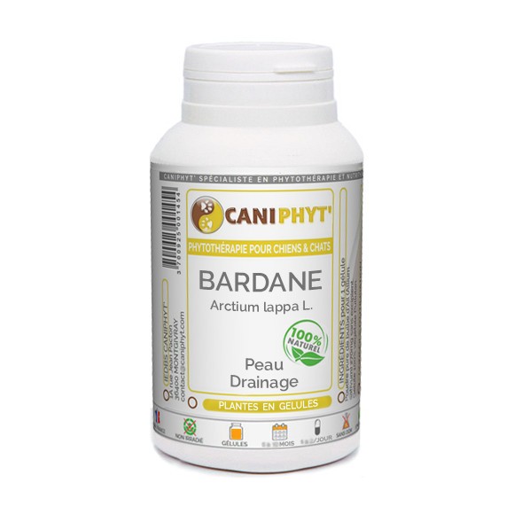 Bardane  Caniphyt Chiens Chats
