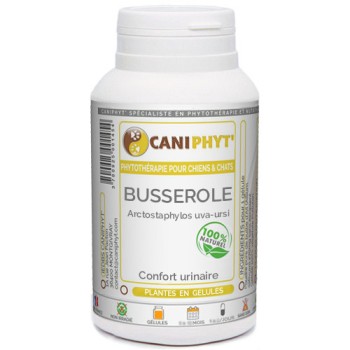 Busserole Caniphyt Chiens Chats