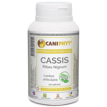 Cassis feuille Caniphyt Chiens Chats