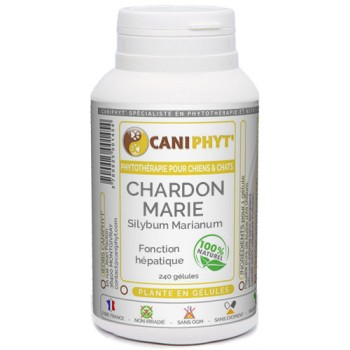 Chardon Marie Caniphyt Chiens Chats
