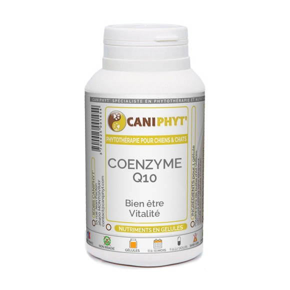 Coenzyme Q10 Caniphyt Chiens Chats