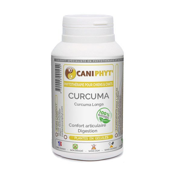 Curcuma Caniphyt - Chiens/Chats