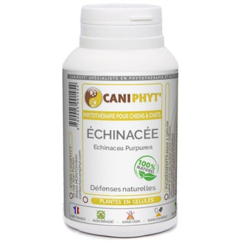 Échinacée Caniphyt - Chiens/Chats