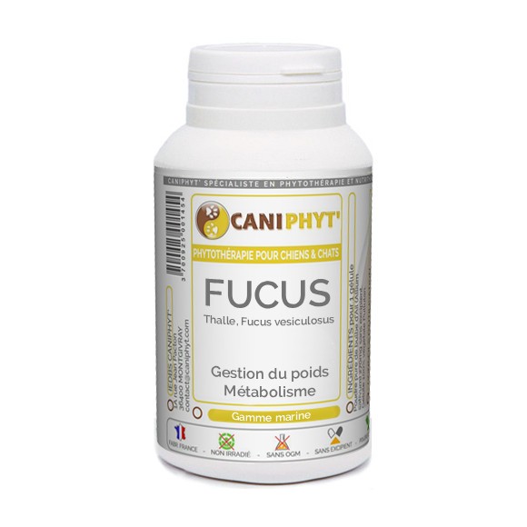 Fucus Caniphyt - Chiens/Chats