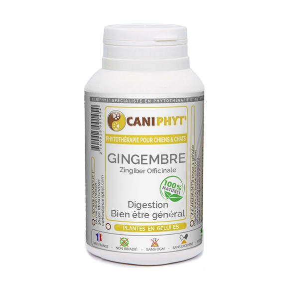 Gingembre Caniphyt - Chiens/Chats