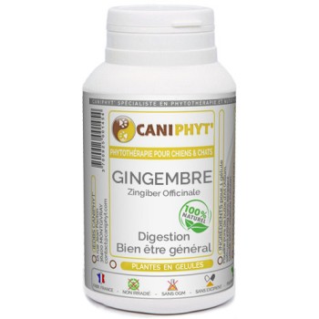 Gingembre Caniphyt - Chiens/Chats