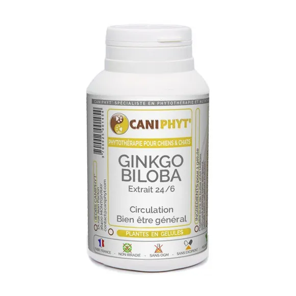 Ginkgo Biloba Caniphyt - Chiens/Chats